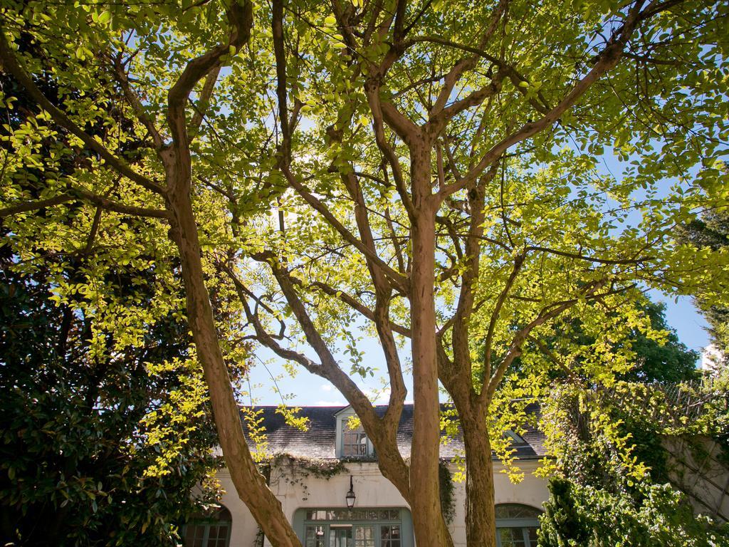 La Maison Jules Тур Екстериор снимка